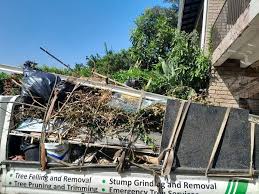 Best Same-Day Junk Removal Services  in Doctor Phillips, FL